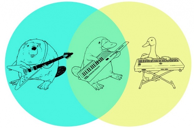 venn platypus keytar